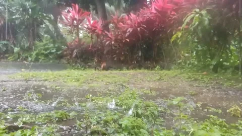 Rainy conditions Stock Footage 231683717