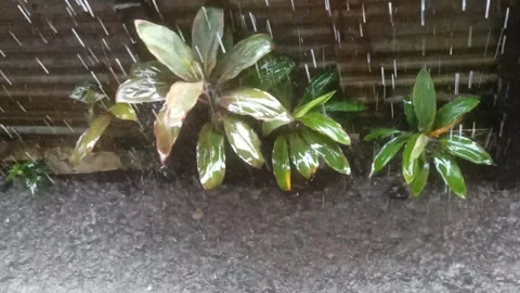 Rainy conditions Stock Footage 231683901