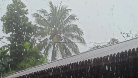 Rainy conditions Stock Footage 231683968