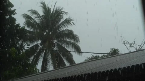 Rainy conditions Stock Footage 231683971