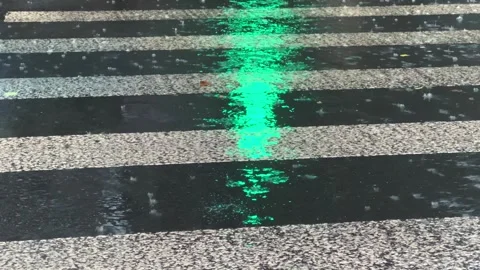 Rainy crosswalk with traffic light reflection changing Stock Footage 338220679