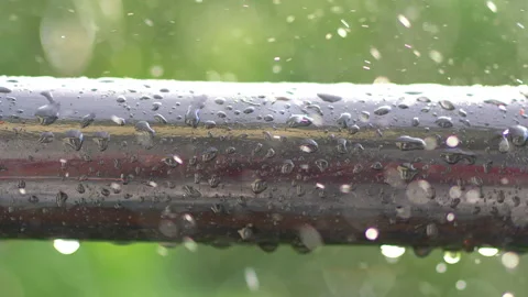 Rainy day in 4k slow motion 60fps Stock Footage 134194986