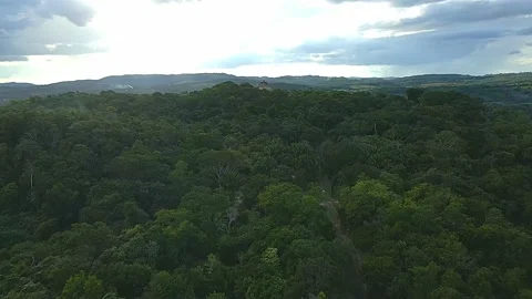 Rainy Day Approach of Temple of El Castillo at Xunantunich 動画素材 197009316