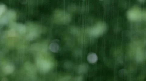 Rainy day background Video stock 7760482