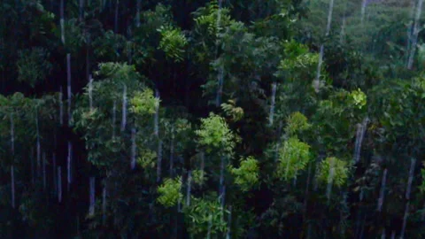 Rainy day background. Vidéo 132807797