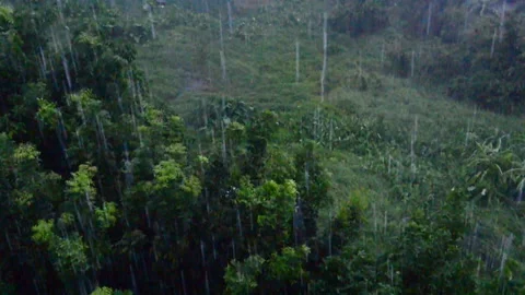 Rainy day background. Vidéo 135461333