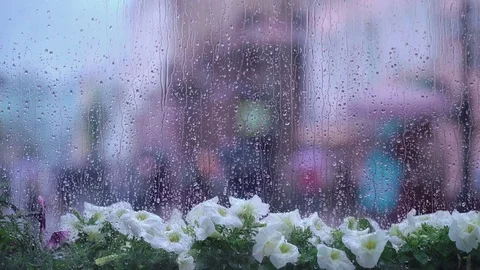 Rainy day behind wet window with street flowers and raindrops, blurred street Video stock 79236577