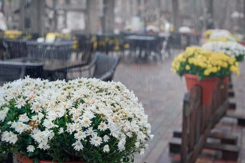 Rainy day in cafe Foto stock
