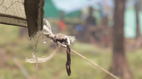 Rainy day at the camp Stock Footage 71549886