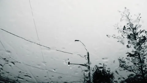 Rainy day in the car Stock Footage 162579112