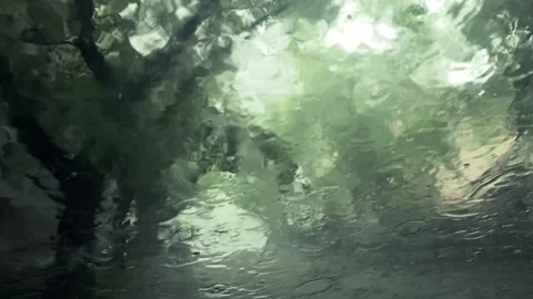 Rainy day car window storm rain Stock Footage 242405704