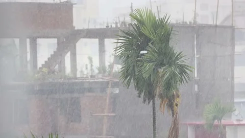 A rainy day in Chittagong. Stock Footage 237094307