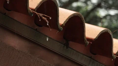 Rainy Day Close up Stock-Footage 326505820