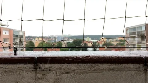 Rainy day. Close-up view from balcony Stock Footage 77908419