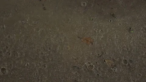 Rainy Day Concept. Rain Falling into the Ground. Static and Handheld 库存影片 132568940