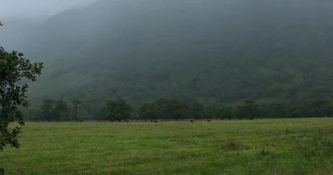 Rainy day in country side Stock-Footage 101341144
