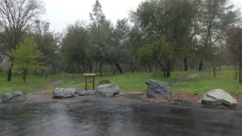 Rainy Day Drive: A Scenic Panning Shot Through Park Terrain Stock Footage 237053729