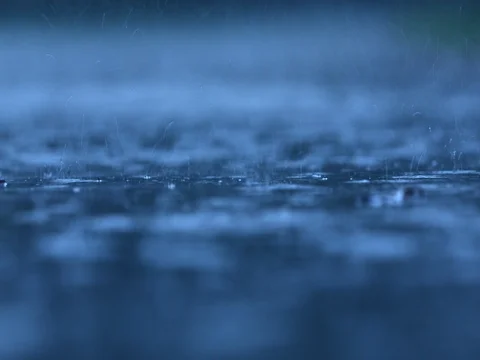Rainy day droplets in a puddle Stock Footage 77765041