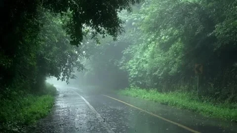 Rainy Day in a empty park road  Stock Footage 252436216
