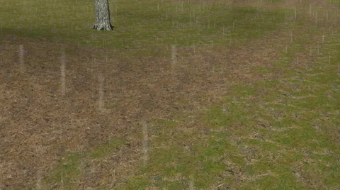 Rainy Day in a Field:  Looping Video stock 33953232