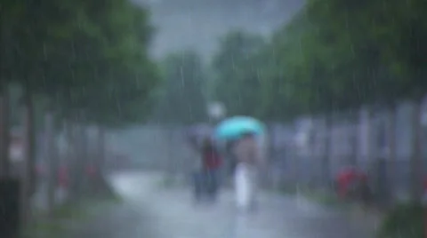 Rainy Day Vidéo 141457