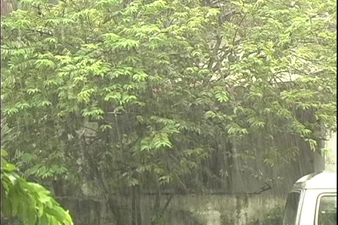 Rainy Day Stock Footage 288852
