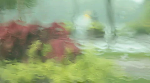  rainy day  Video stock 823485