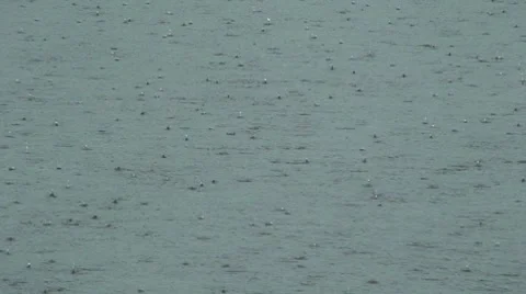 Rainy day Video stock 8657471