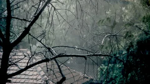 Rainy day Stock Footage 10768738