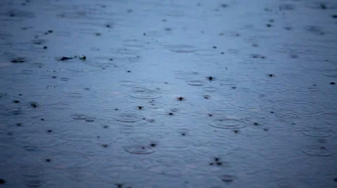 Rainy day Stock Footage 39292562