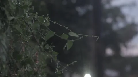 Rainy day Stock-Footage 41755819