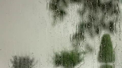 Rainy Day Stock Footage 42011597