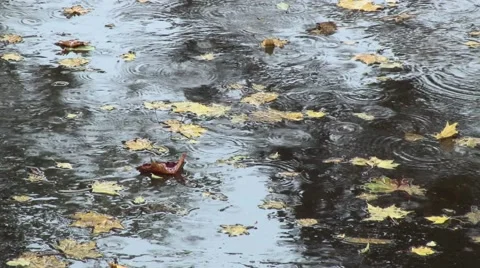 Rainy day Stock Footage 42491057