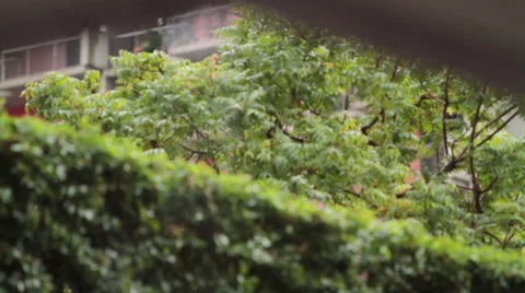 Rainy day Stock Footage 46805876