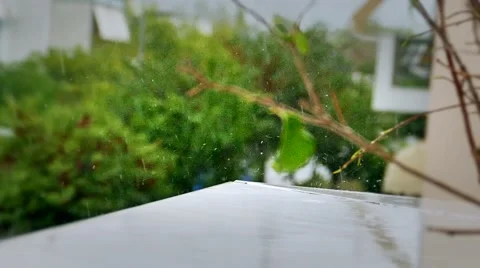 Rainy day Stock Footage 55762625