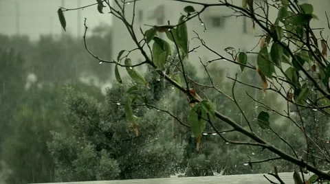 Rainy day Stock Footage 57459511