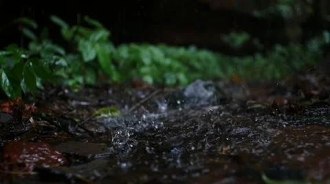 A rainy day Stock Footage 64506864