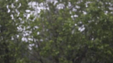 Rainy day Stock Footage 77601102