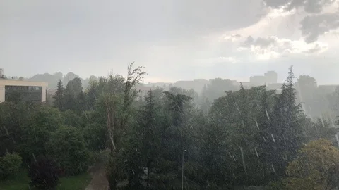 Rainy day. Stock Footage 91452791