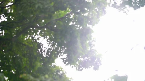 Rainy day Stock Footage 93789430