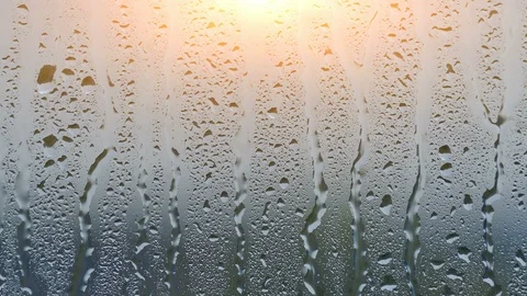 Rainy Day Stock Footage 98971701