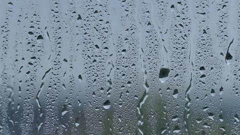 Rainy Day Stock Footage 98972534