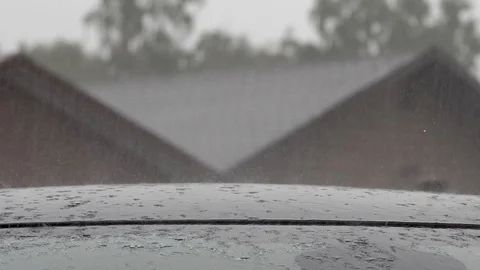 Rainy day Stock Footage 116304979