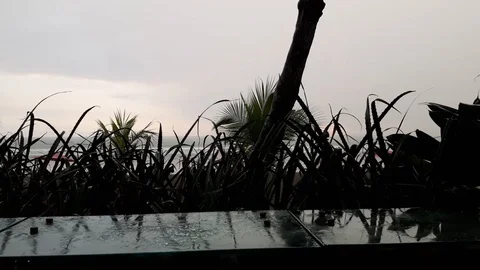 Rainy day Stock Footage 126731264