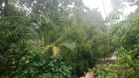 Rainy day Stock Footage 136724539