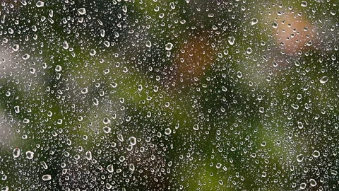 Rainy day Stock Footage 149408520