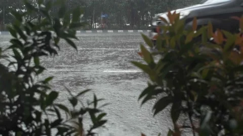 Rainy Day Stock Footage 160777860