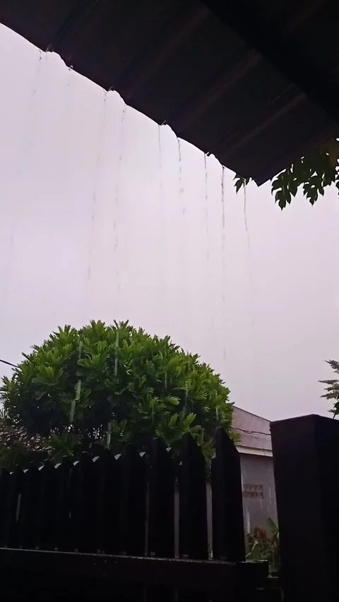 Rainy day Video stock 170425278