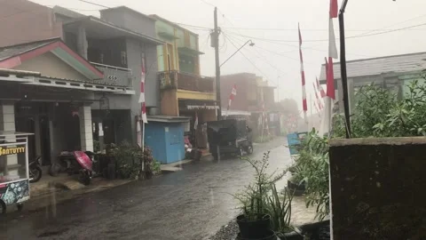 Rainy day Stock Footage 206248101