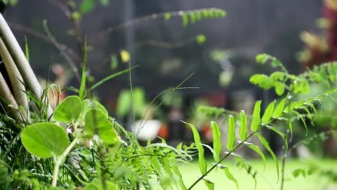 RAINY DAY Stock Footage 225474850